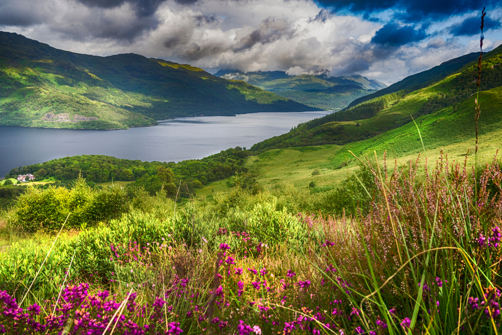 trip to scotland: Loch Lomond